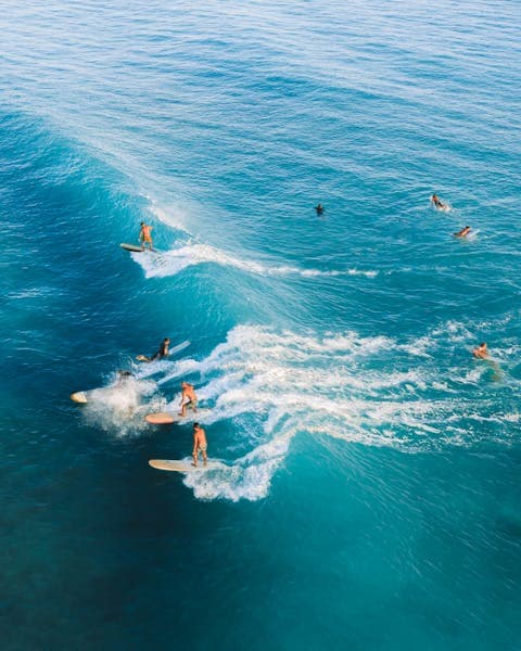 Professional land clearing for Springfield properties